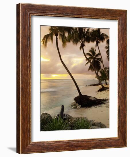 Tropical Sunset, Bridgetown, Barbados, West Indies, Caribbean, Central America-Angelo Cavalli-Framed Photographic Print