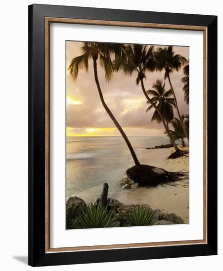 Tropical Sunset, Bridgetown, Barbados, West Indies, Caribbean, Central America-Angelo Cavalli-Framed Photographic Print