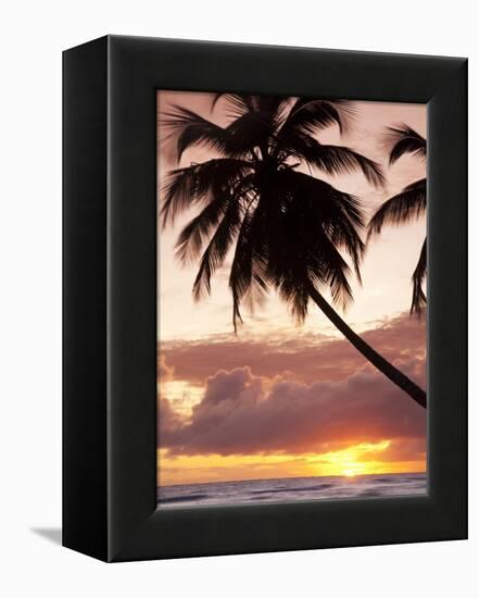 Tropical Sunset, Bridgetown, Barbados, West Indies, Caribbean, Central America-Angelo Cavalli-Framed Premier Image Canvas