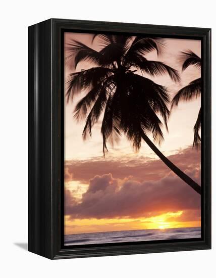 Tropical Sunset, Bridgetown, Barbados, West Indies, Caribbean, Central America-Angelo Cavalli-Framed Premier Image Canvas