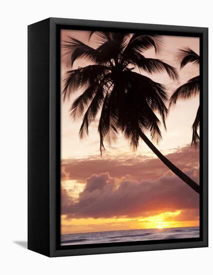 Tropical Sunset, Bridgetown, Barbados, West Indies, Caribbean, Central America-Angelo Cavalli-Framed Premier Image Canvas