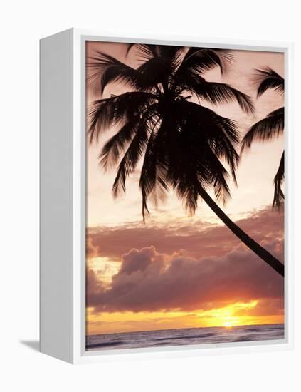 Tropical Sunset, Bridgetown, Barbados, West Indies, Caribbean, Central America-Angelo Cavalli-Framed Premier Image Canvas