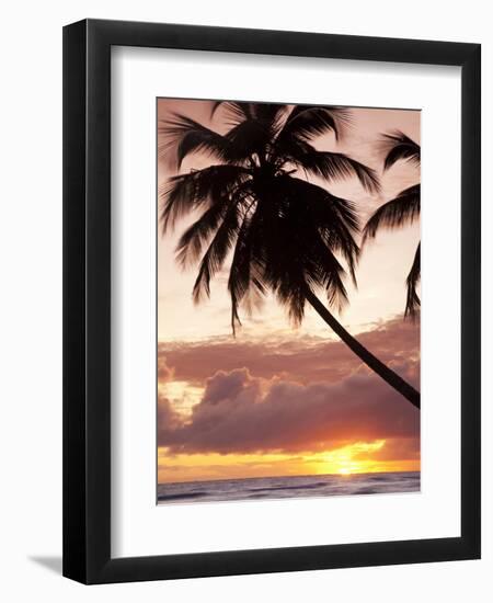 Tropical Sunset, Bridgetown, Barbados, West Indies, Caribbean, Central America-Angelo Cavalli-Framed Photographic Print