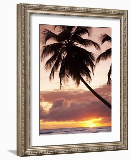 Tropical Sunset, Bridgetown, Barbados, West Indies, Caribbean, Central America-Angelo Cavalli-Framed Photographic Print