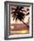 Tropical Sunset, Bridgetown, Barbados, West Indies, Caribbean, Central America-Angelo Cavalli-Framed Photographic Print