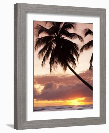 Tropical Sunset, Bridgetown, Barbados, West Indies, Caribbean, Central America-Angelo Cavalli-Framed Photographic Print