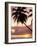 Tropical Sunset, Bridgetown, Barbados, West Indies, Caribbean, Central America-Angelo Cavalli-Framed Photographic Print