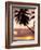 Tropical Sunset, Bridgetown, Barbados, West Indies, Caribbean, Central America-Angelo Cavalli-Framed Photographic Print