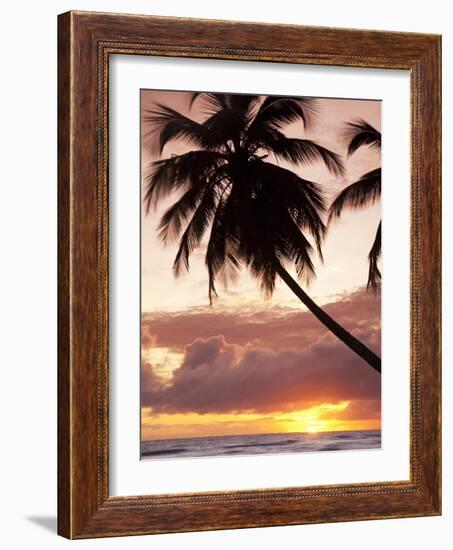 Tropical Sunset, Bridgetown, Barbados, West Indies, Caribbean, Central America-Angelo Cavalli-Framed Photographic Print