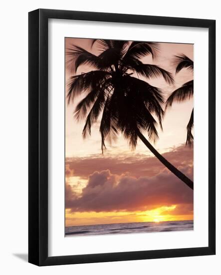 Tropical Sunset, Bridgetown, Barbados, West Indies, Caribbean, Central America-Angelo Cavalli-Framed Photographic Print