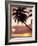 Tropical Sunset, Bridgetown, Barbados, West Indies, Caribbean, Central America-Angelo Cavalli-Framed Photographic Print