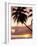 Tropical Sunset, Bridgetown, Barbados, West Indies, Caribbean, Central America-Angelo Cavalli-Framed Photographic Print