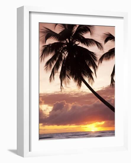 Tropical Sunset, Bridgetown, Barbados, West Indies, Caribbean, Central America-Angelo Cavalli-Framed Photographic Print