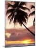 Tropical Sunset, Bridgetown, Barbados, West Indies, Caribbean, Central America-Angelo Cavalli-Mounted Photographic Print