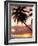 Tropical Sunset, Bridgetown, Barbados, West Indies, Caribbean, Central America-Angelo Cavalli-Framed Photographic Print