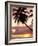 Tropical Sunset, Bridgetown, Barbados, West Indies, Caribbean, Central America-Angelo Cavalli-Framed Photographic Print