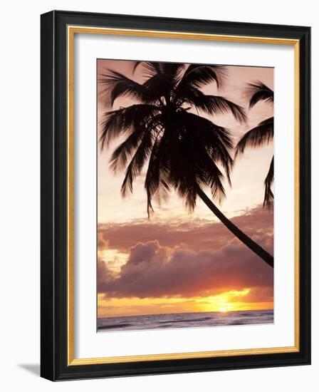 Tropical Sunset, Bridgetown, Barbados, West Indies, Caribbean, Central America-Angelo Cavalli-Framed Photographic Print