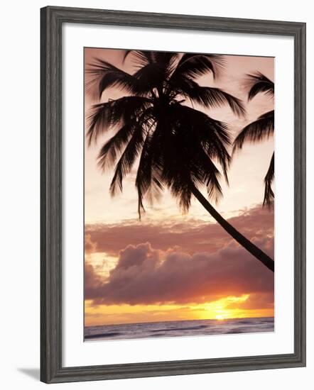 Tropical Sunset, Bridgetown, Barbados, West Indies, Caribbean, Central America-Angelo Cavalli-Framed Photographic Print