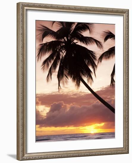 Tropical Sunset, Bridgetown, Barbados, West Indies, Caribbean, Central America-Angelo Cavalli-Framed Photographic Print