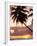 Tropical Sunset, Bridgetown, Barbados, West Indies, Caribbean, Central America-Angelo Cavalli-Framed Photographic Print