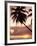 Tropical Sunset, Bridgetown, Barbados, West Indies, Caribbean, Central America-Angelo Cavalli-Framed Photographic Print