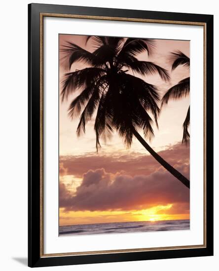 Tropical Sunset, Bridgetown, Barbados, West Indies, Caribbean, Central America-Angelo Cavalli-Framed Photographic Print