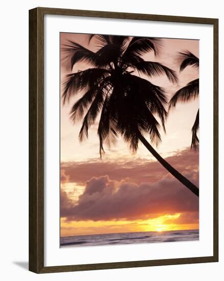 Tropical Sunset, Bridgetown, Barbados, West Indies, Caribbean, Central America-Angelo Cavalli-Framed Photographic Print