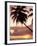 Tropical Sunset, Bridgetown, Barbados, West Indies, Caribbean, Central America-Angelo Cavalli-Framed Photographic Print