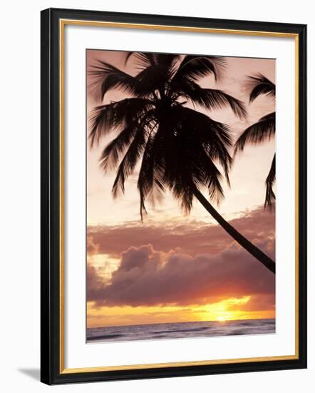 Tropical Sunset, Bridgetown, Barbados, West Indies, Caribbean, Central America-Angelo Cavalli-Framed Photographic Print