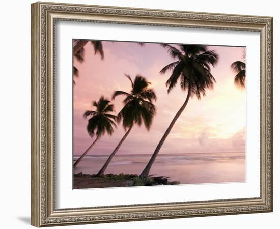 Tropical Sunset, Bridgetown, Barbados, West Indies, Caribbean, Central America-Angelo Cavalli-Framed Photographic Print