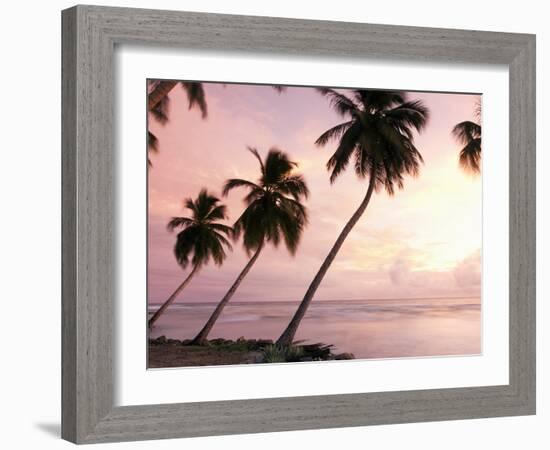 Tropical Sunset, Bridgetown, Barbados, West Indies, Caribbean, Central America-Angelo Cavalli-Framed Photographic Print