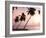 Tropical Sunset, Bridgetown, Barbados, West Indies, Caribbean, Central America-Angelo Cavalli-Framed Photographic Print