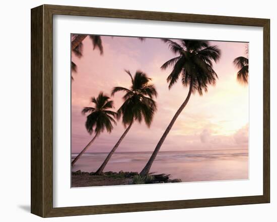 Tropical Sunset, Bridgetown, Barbados, West Indies, Caribbean, Central America-Angelo Cavalli-Framed Photographic Print