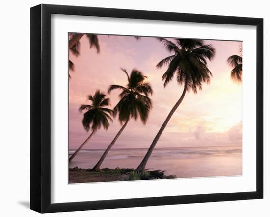 Tropical Sunset, Bridgetown, Barbados, West Indies, Caribbean, Central America-Angelo Cavalli-Framed Photographic Print