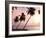 Tropical Sunset, Bridgetown, Barbados, West Indies, Caribbean, Central America-Angelo Cavalli-Framed Photographic Print