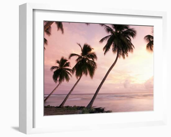 Tropical Sunset, Bridgetown, Barbados, West Indies, Caribbean, Central America-Angelo Cavalli-Framed Photographic Print