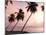 Tropical Sunset, Bridgetown, Barbados, West Indies, Caribbean, Central America-Angelo Cavalli-Mounted Photographic Print