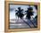 Tropical Sunset, Bridgetown, Barbados, West Indies, Caribbean, Central America-Angelo Cavalli-Framed Premier Image Canvas