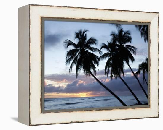 Tropical Sunset, Bridgetown, Barbados, West Indies, Caribbean, Central America-Angelo Cavalli-Framed Premier Image Canvas