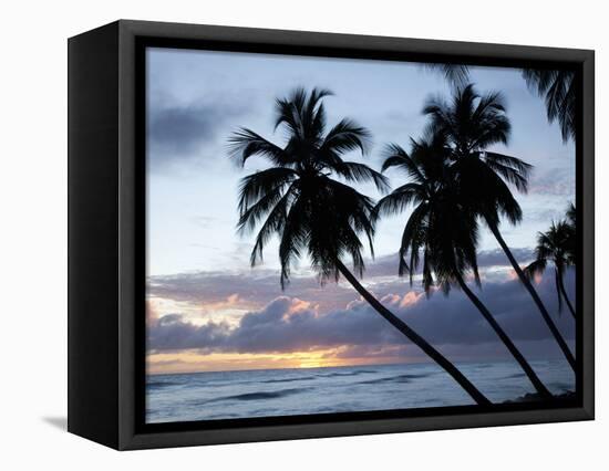 Tropical Sunset, Bridgetown, Barbados, West Indies, Caribbean, Central America-Angelo Cavalli-Framed Premier Image Canvas