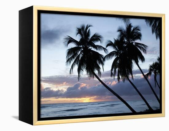 Tropical Sunset, Bridgetown, Barbados, West Indies, Caribbean, Central America-Angelo Cavalli-Framed Premier Image Canvas