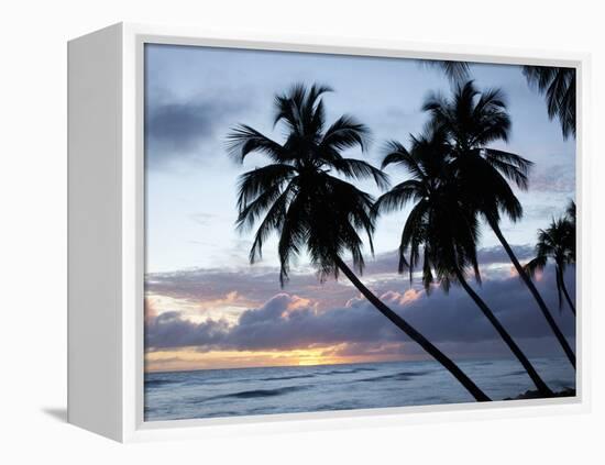 Tropical Sunset, Bridgetown, Barbados, West Indies, Caribbean, Central America-Angelo Cavalli-Framed Premier Image Canvas