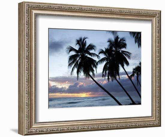 Tropical Sunset, Bridgetown, Barbados, West Indies, Caribbean, Central America-Angelo Cavalli-Framed Photographic Print