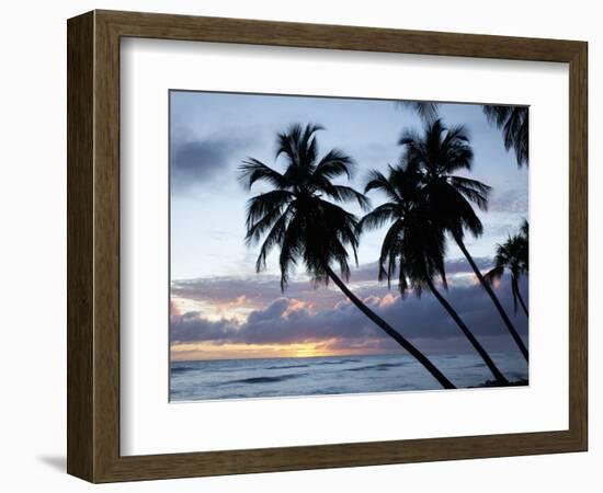 Tropical Sunset, Bridgetown, Barbados, West Indies, Caribbean, Central America-Angelo Cavalli-Framed Photographic Print