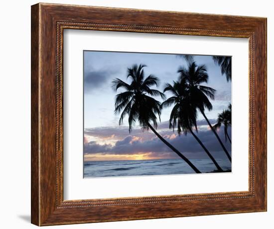 Tropical Sunset, Bridgetown, Barbados, West Indies, Caribbean, Central America-Angelo Cavalli-Framed Photographic Print