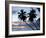 Tropical Sunset, Bridgetown, Barbados, West Indies, Caribbean, Central America-Angelo Cavalli-Framed Photographic Print