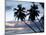 Tropical Sunset, Bridgetown, Barbados, West Indies, Caribbean, Central America-Angelo Cavalli-Mounted Photographic Print