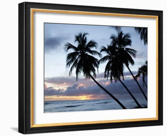 Tropical Sunset, Bridgetown, Barbados, West Indies, Caribbean, Central America-Angelo Cavalli-Framed Photographic Print