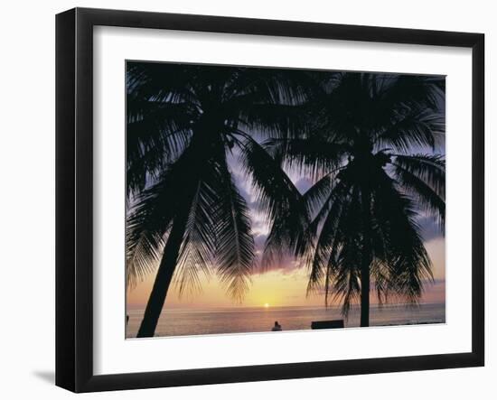 Tropical Sunset Framed by Palm Trees, Cayman Islands, West Indies, Central America-Ruth Tomlinson-Framed Photographic Print