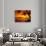 Tropical Sunset on the Island of Maui, Hawaii, USA-Jerry Ginsberg-Photographic Print displayed on a wall